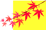 ~W